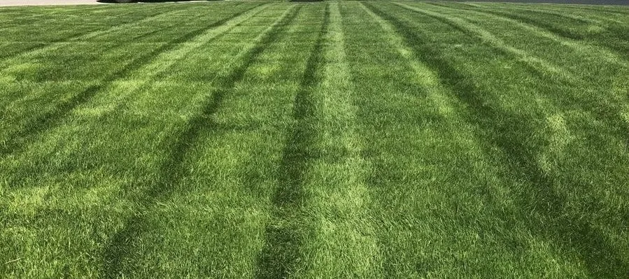 Custom outdoor landscaping in Orchard Park, NY - Pro Lawns