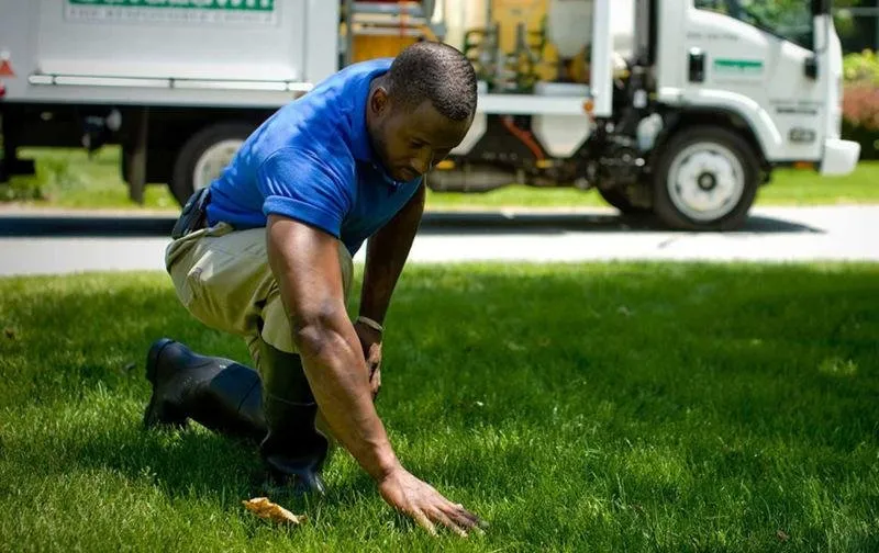 Custom landscaping services in Fort McCoy, FL by Pro Lawnscare