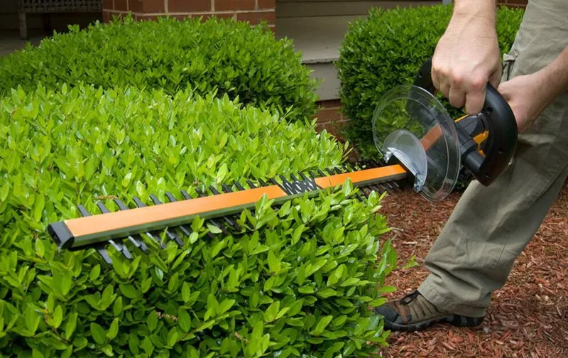 Reliable landscaping services for residential properties in Fort McCoy, FL by Pro Lawnscare