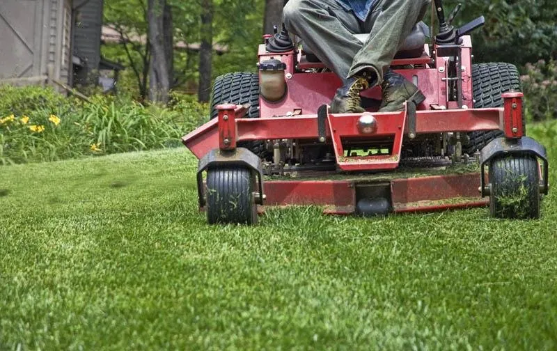 Expert yard cleanup service in Fort McCoy, FL - Pro Lawnscare