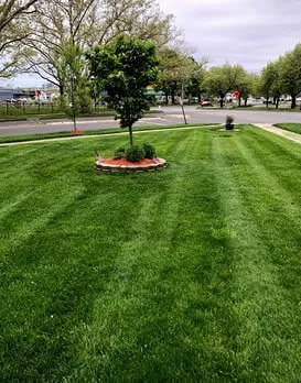 Custom landscaping services for residential properties across Orlando, FL - Pro Lawnscare