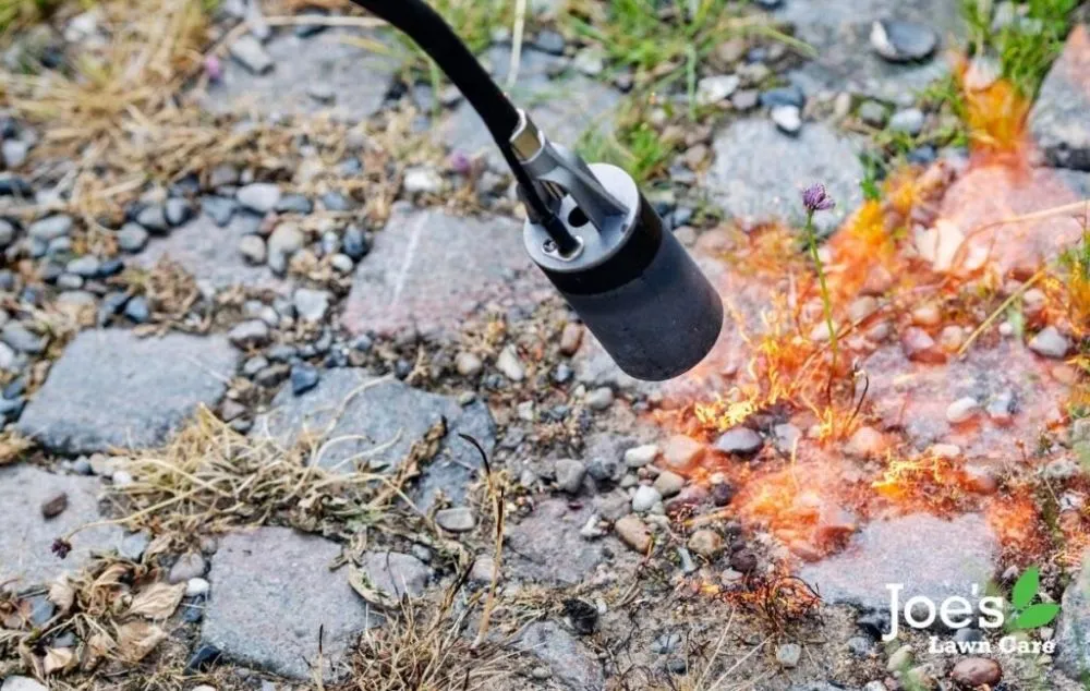 Local landscaping services for beautiful yards across Attleboro, MA - Pro Level Junk Removal