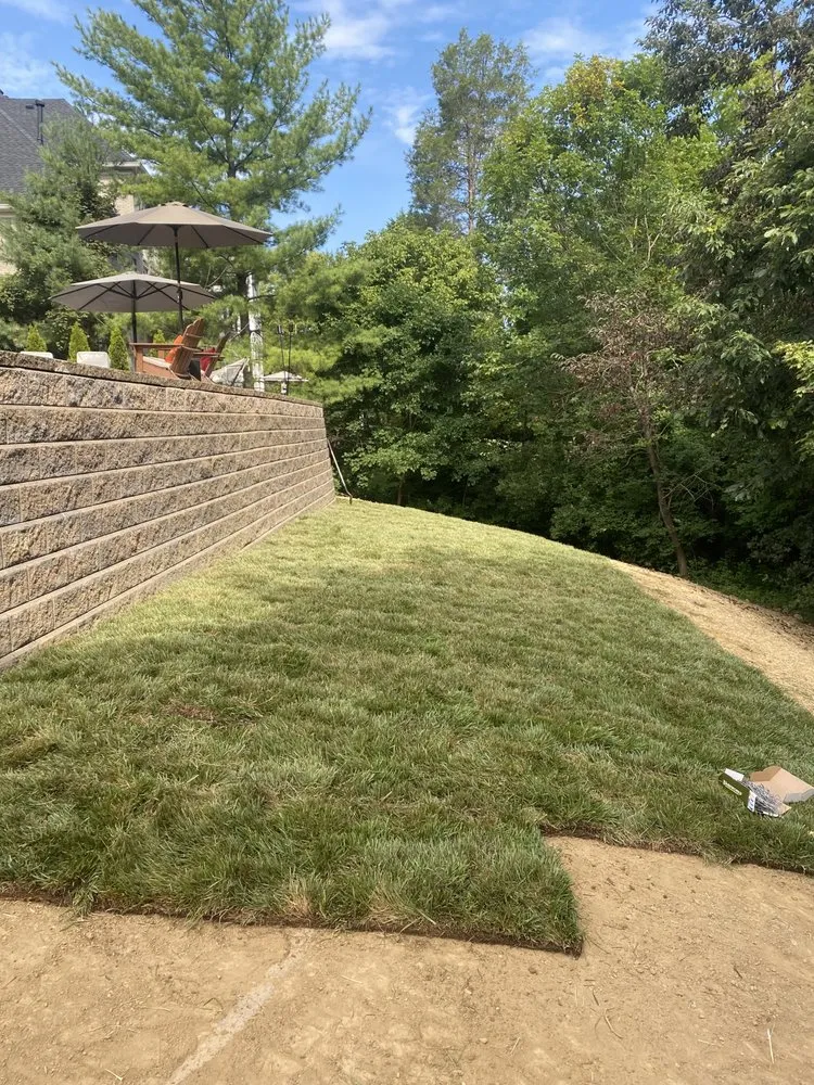 Affordable yard cleanup service with custom design in Louisville, KY by Pro Line Grading and Landscape
