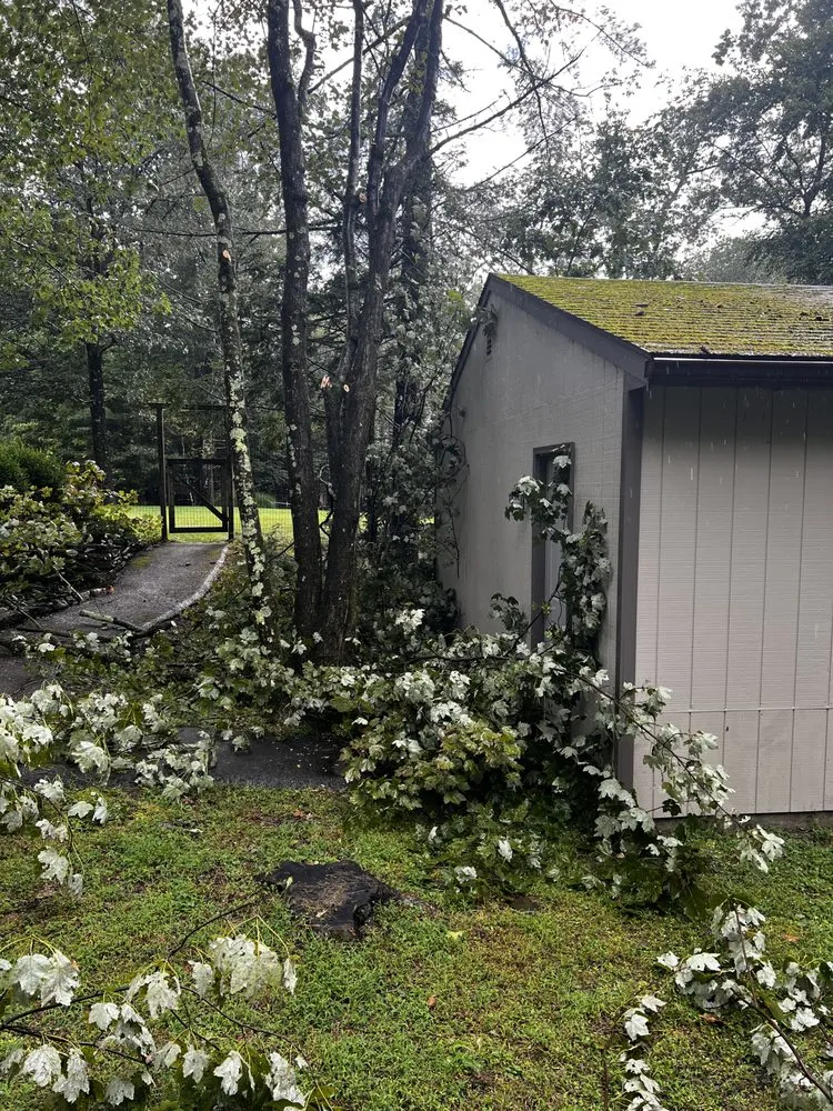 Local residential landscaping for year-round maintenance across Kingston, NY - Pro Line Landscape