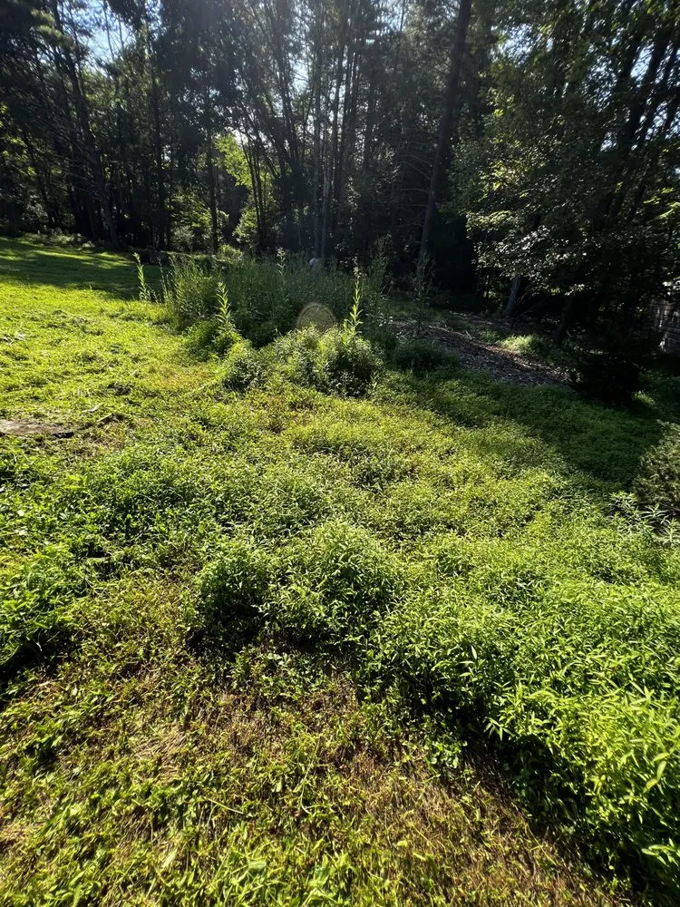 Trusted lawn care service for outdoor upgrades across Kingston, NY - Pro Line Landscape