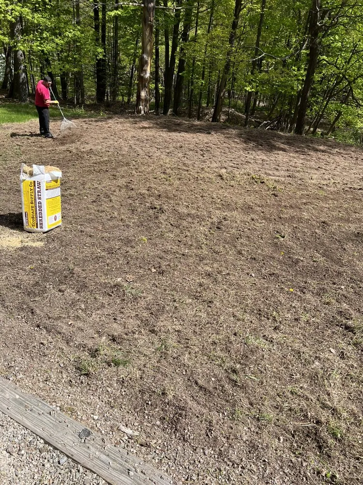 Top-rated yard cleanup service experts serving Kingston, NY - Pro Line Landscape