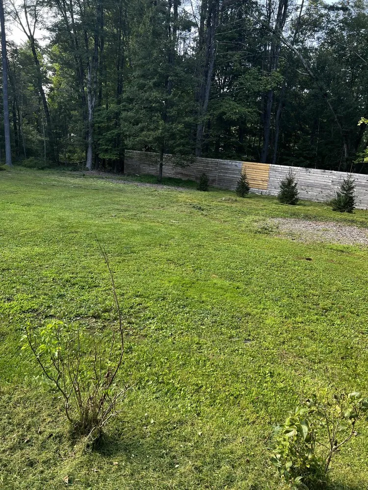 Affordable residential landscaping for year-round maintenance in Kingston, NY by Pro Line Landscape