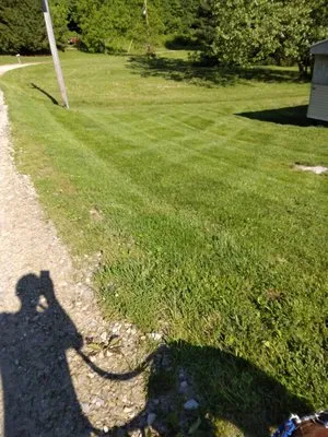 Pro Lines Lawn and Landscaping