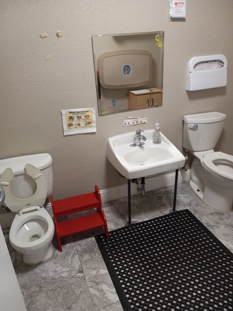 Trusted yard cleanup service near you in Gresham, OR by Pro Magic Star