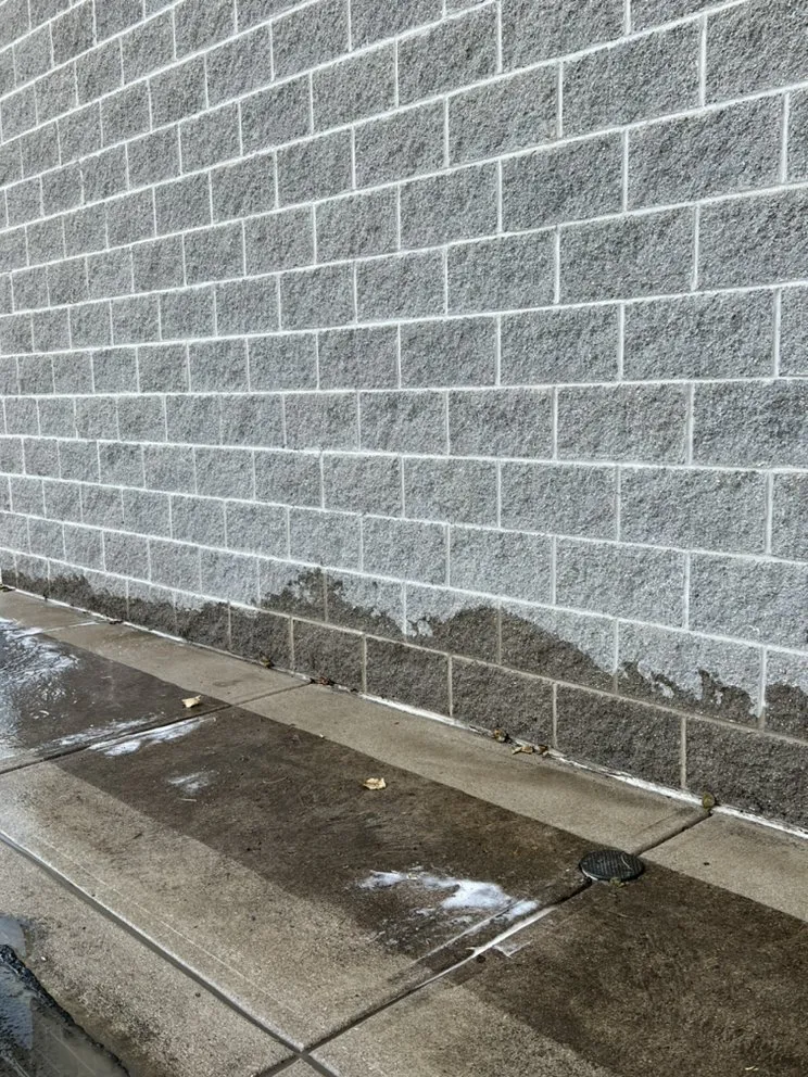 Custom yard maintenance in Crittenden, KY by Pro Maintenance Xterior