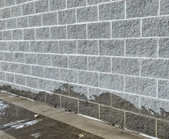 Affordable lawn care service experts serving Crittenden, KY - Pro Maintenance Xterior