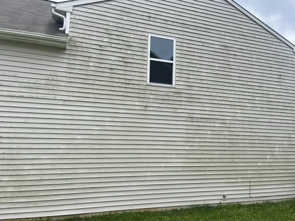 Top-rated lawn care service in Crittenden, KY - Pro Maintenance Xterior