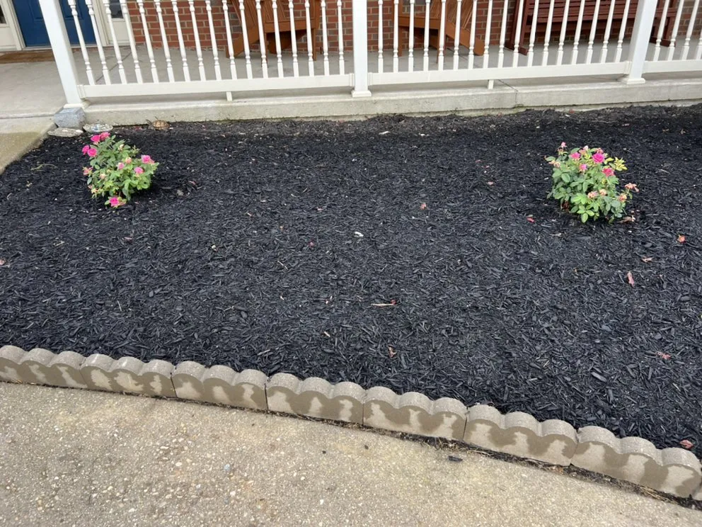 Affordable lawn care service in Crittenden, KY - Pro Maintenance Xterior