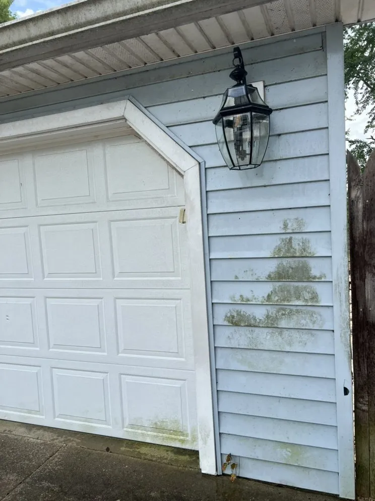 Local yard cleanup service in Crittenden, KY - Pro Maintenance Xterior