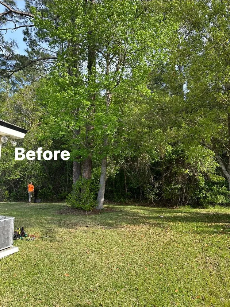 Reliable landscape installation in Jacksonville, FL by Pro Master Lawn & Tree