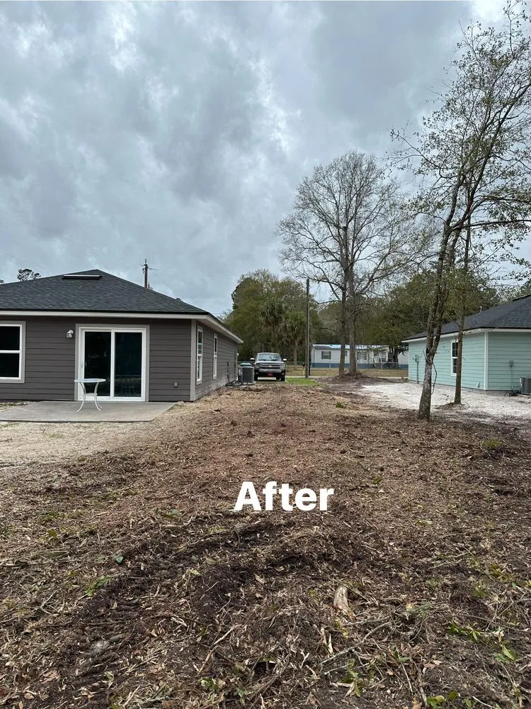 Professional landscape installation for homes across Jacksonville, FL - Pro Master Lawn & Tree