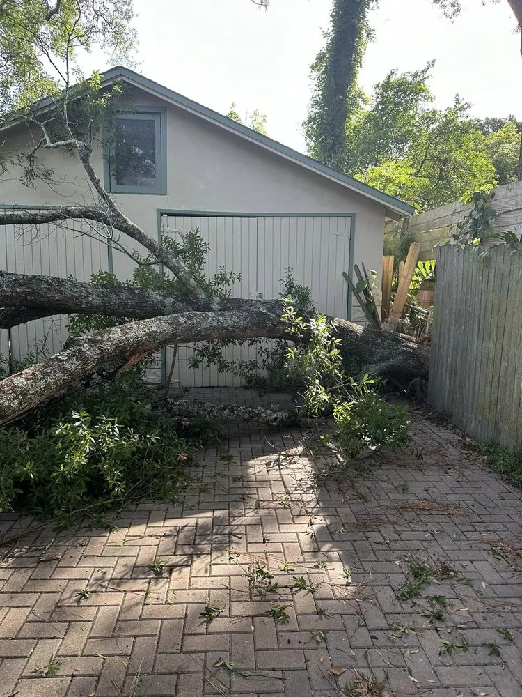 Trusted residential landscaping in Jacksonville, FL - Pro Master Lawn & Tree