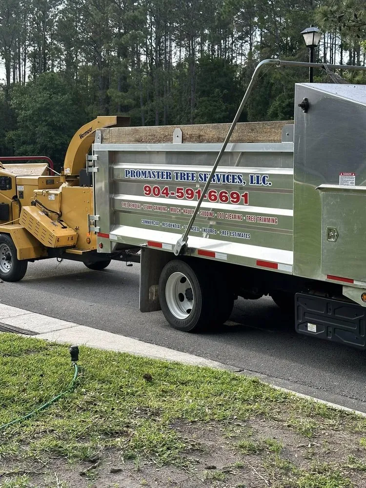 Expert yard cleanup service experts serving Jacksonville, FL - Pro Master Lawn & Tree