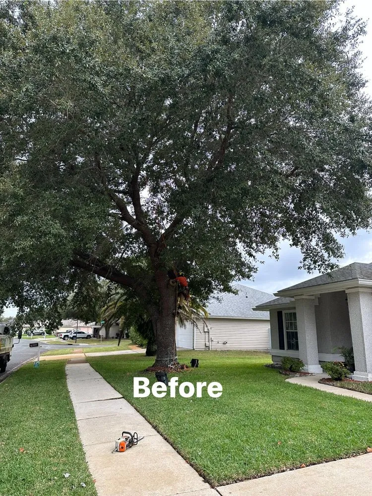 Expert landscape design experts serving Jacksonville, FL - Pro Master Lawn & Tree