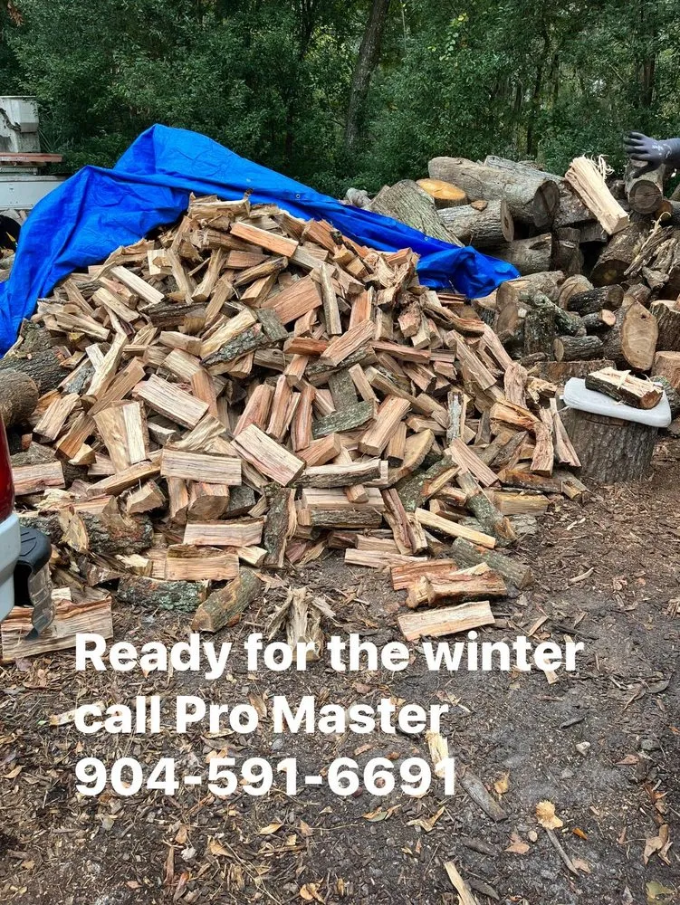 Expert landscape installation in Jacksonville, FL by Pro Master Lawn & Tree