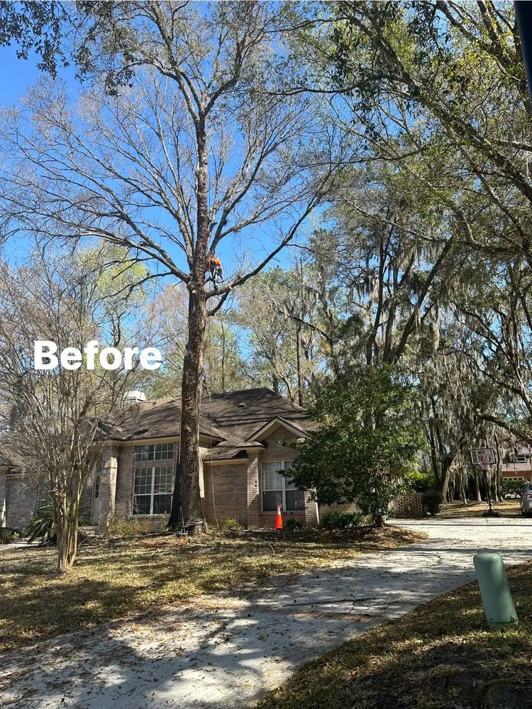 Reliable landscape installation in Jacksonville, FL - Pro Master Lawn & Tree