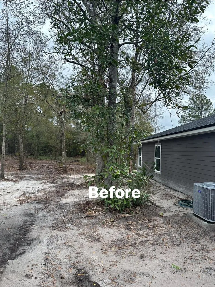Custom landscaping services experts serving Jacksonville, FL - Pro Master Lawn & Tree