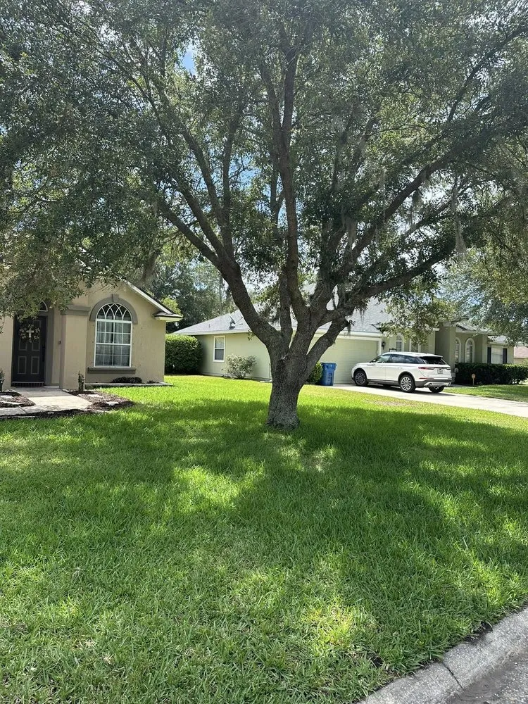 Expert landscape design experts serving Jacksonville, FL - Pro Master Lawn & Tree