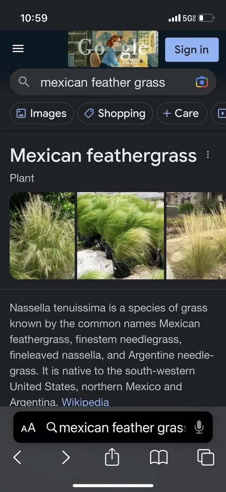 Custom landscaping services in San Bernardino, CA - Pro Masters Services