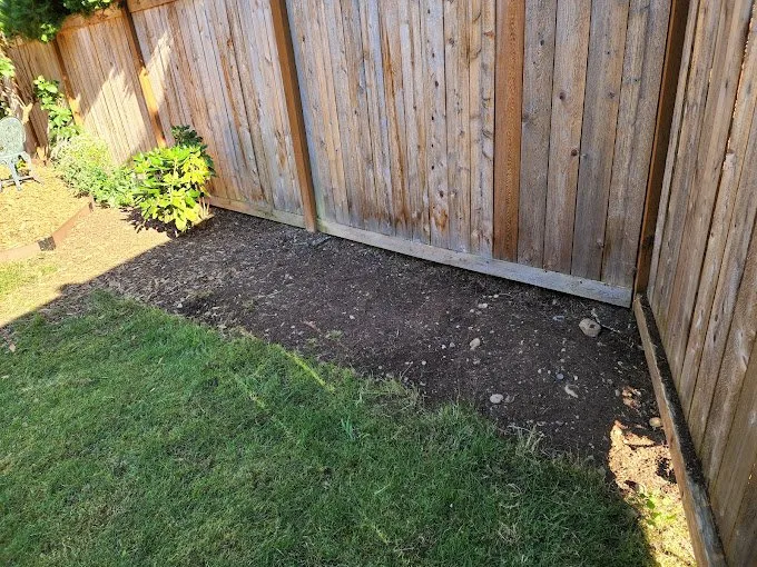 Top-rated yard maintenance in Kent, WA - Pro MG Landscaping