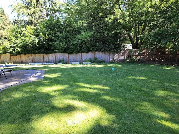 Affordable outdoor landscaping in Kent, WA - Pro MG Landscaping