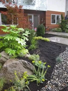 Top-rated lawn mowing service in Kent, WA by Pro MG Landscaping