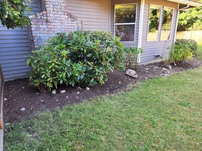 Custom lawn mowing service in Kent, WA - Pro MG Landscaping