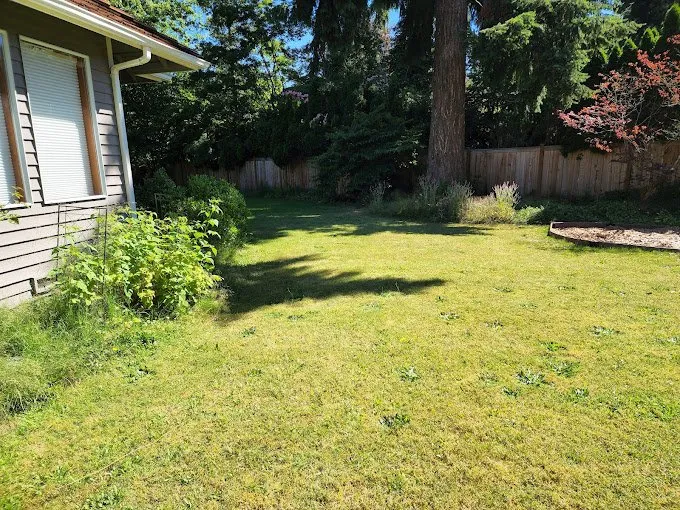 Trusted landscaping services in Kent, WA - Pro MG Landscaping