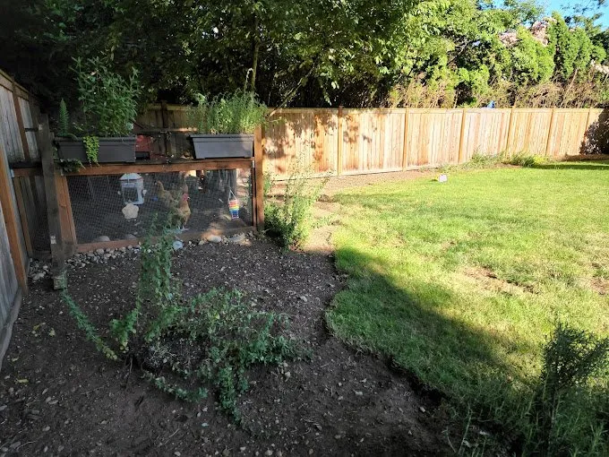 Custom lawn mowing service for homes in Kent, WA by Pro MG Landscaping