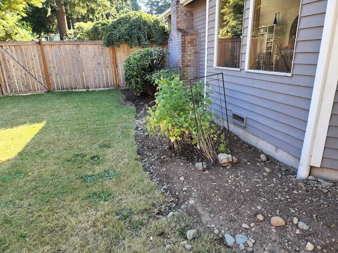 Reliable yard cleanup service in Kent, WA by Pro MG Landscaping