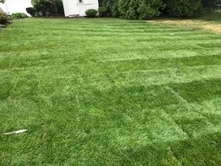 Trusted landscape design in Swampscott, MA by Pro MJL Landscape