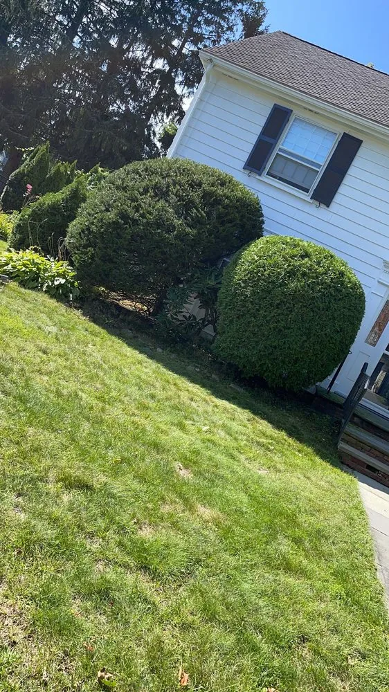 Top-rated outdoor landscaping for outdoor upgrades across Swampscott, MA - Pro MJL Landscape