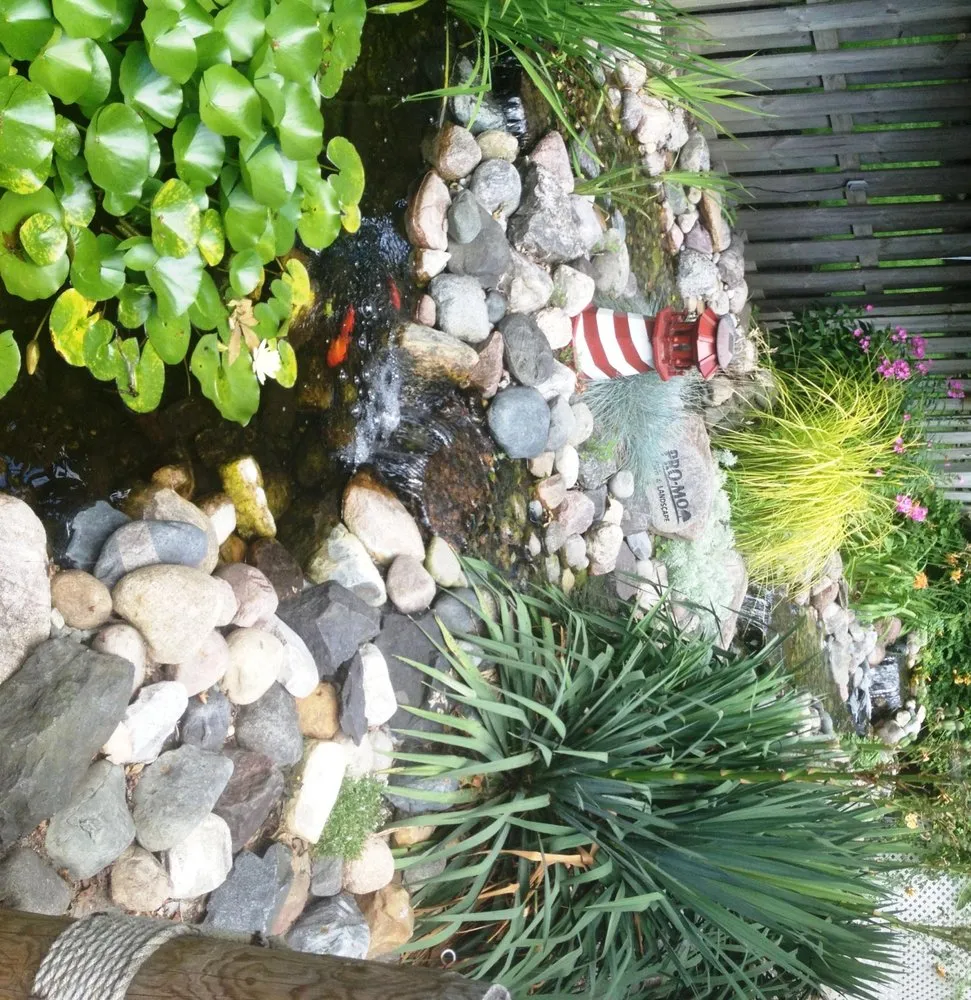 Top-rated yard cleanup service for year-round maintenance across Sterling Heights, MI - PRO-MO Lawn & Landscape