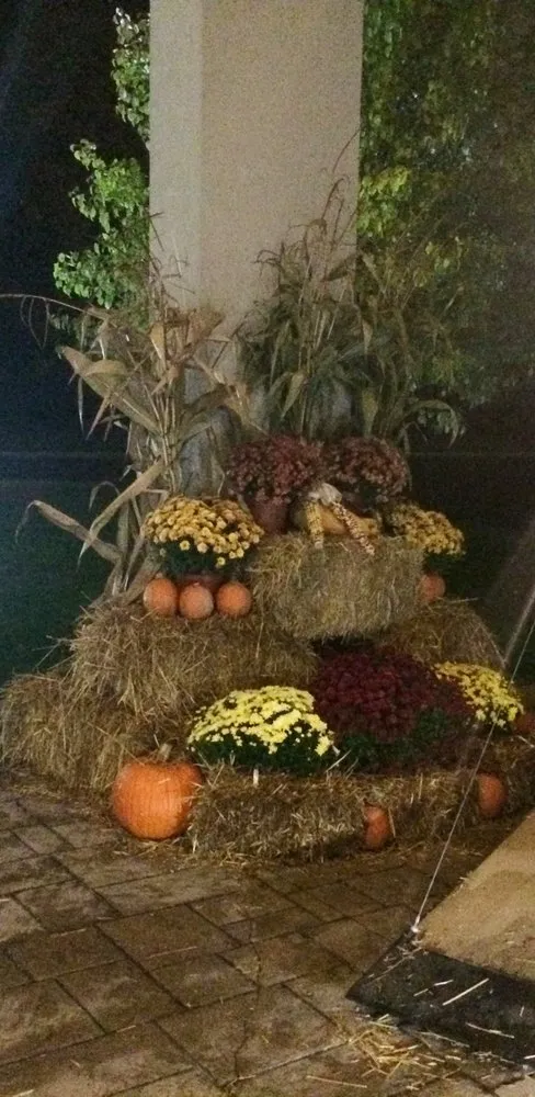 Reliable outdoor landscaping for beautiful yards across Sterling Heights, MI - PRO-MO Lawn & Landscape