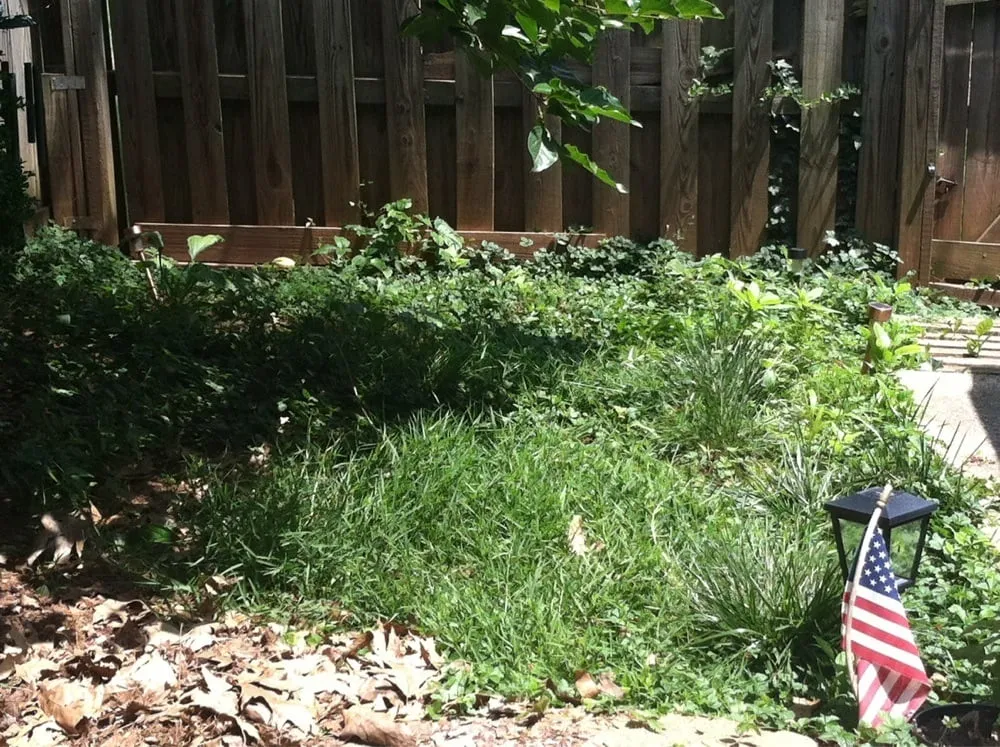 Custom garden landscaping with custom design in Dulles, VA by Pro-Mow