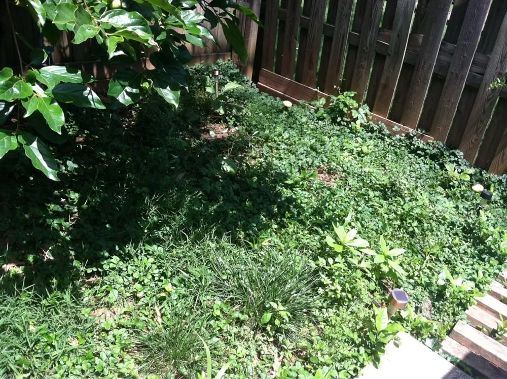 Professional lawn mowing service in Dulles, VA by Pro-Mow