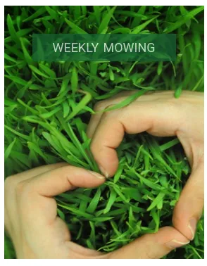 Trusted lawn mowing service experts serving Dulles, VA - Pro-Mow