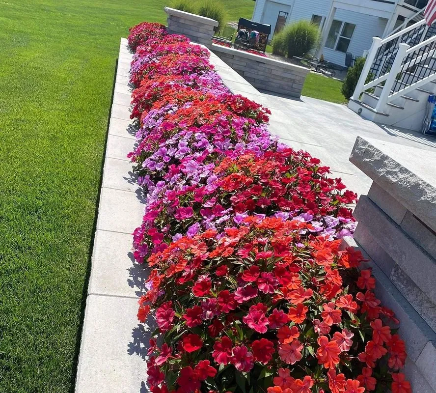 Expert lawn care service in Byron Center, MI - Pro-Mow Lawn Care & Landscaping