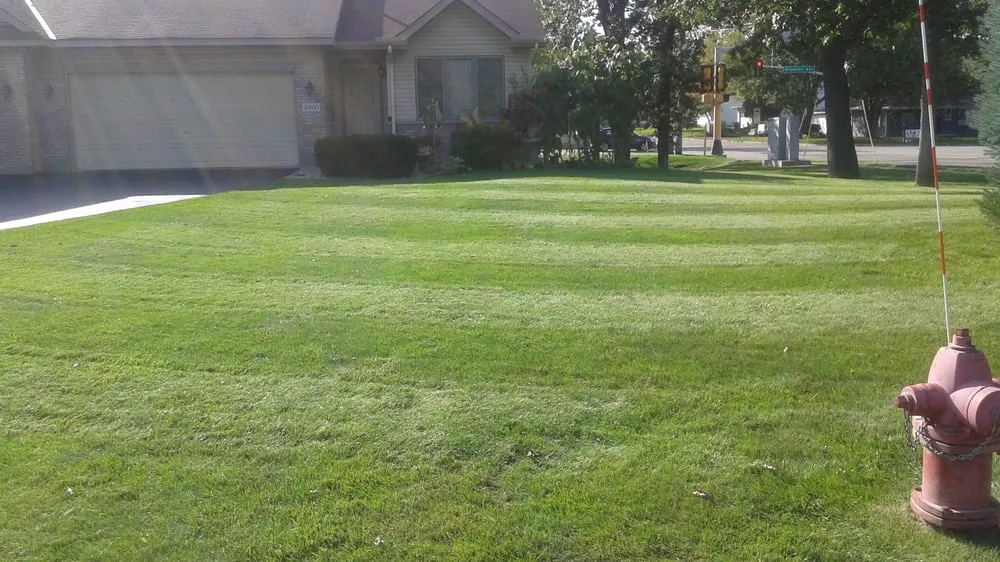 Top-rated yard cleanup service experts serving Minneapolis, MN - Pro-Mow Lawn Care & Services