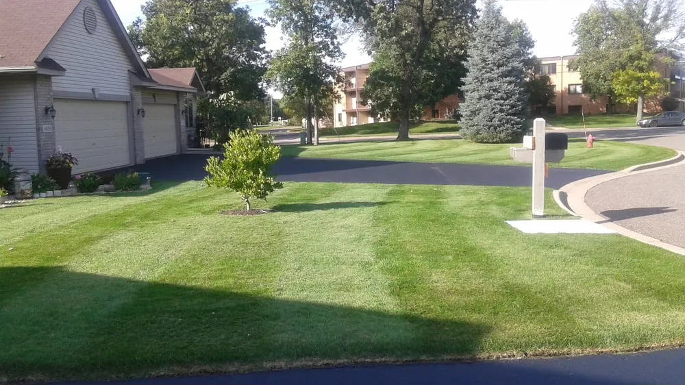 Top-rated yard cleanup service in Minneapolis, MN - Pro-Mow Lawn Care & Services