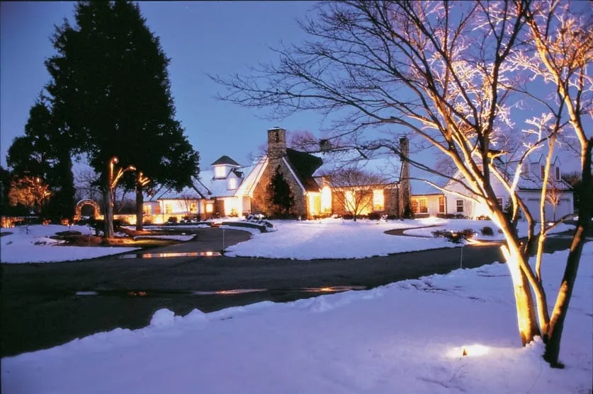 Professional yard cleanup service experts serving Kansas City, MO - Pro Mow Lawn Care