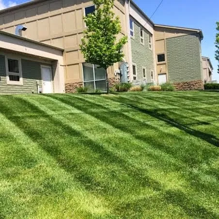 Local garden landscaping in Kansas City, MO by Pro Mow Lawn Care