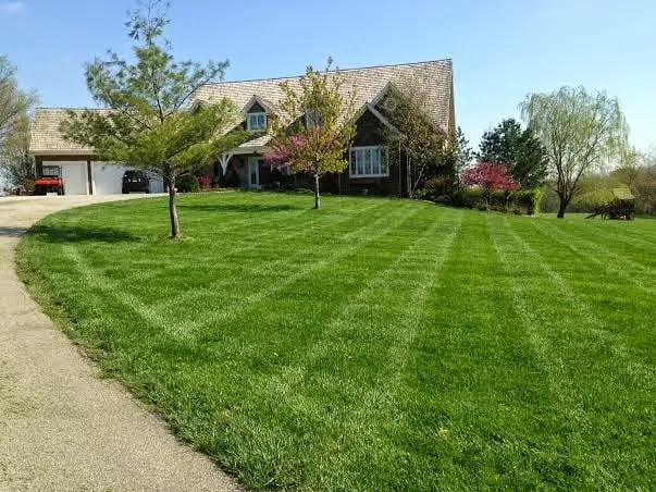 Custom yard maintenance experts serving Kansas City, MO - Pro Mow Lawn Care