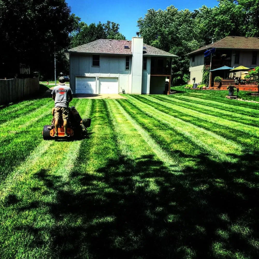 Top-rated lawn care service experts serving Kansas City, MO - Pro Mow Lawn Care