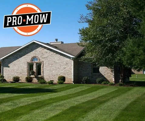 Pro Mow Lawn Care Logo